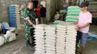 Babinsa Blimbing Monitoring Penggilingan Padi Jaga Kestabilan Harga Gabah