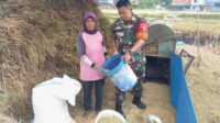 Babinsa Sukun Panen Padi Bersama Petani Bakalankrajan