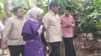 Bupati Jember Komitmen Perkuat Sektor Pertanian dan Ketahanan Pangan Daerah