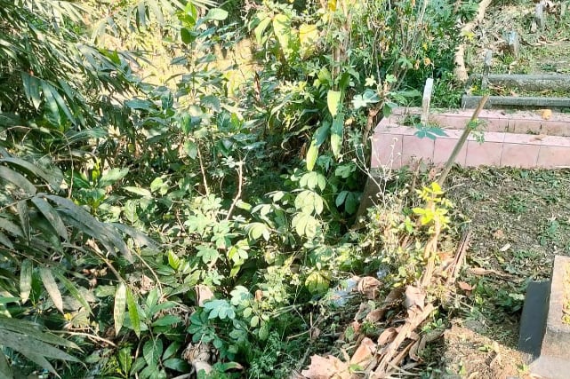 Sejumlah Makam Lahor Bunulrejo Ambrol Tergerus Arus Sungai, Warga Keluhkan Lambatnya Penanganan