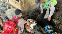 Tunawisma Asal Bandung Ditemukan Tewas di Area Pasar Kali Lima Dampit