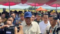 Wamentan RI Ungkap Strategi Tingkatkan Hasil Panen saat Kunjungan ke Jember