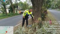 Kecelakaan Tunggal di Jalibar Kepanjen Satu dari Dua Korban Tewas di TKP