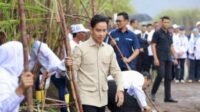 Pemerintah Klarifikasi Gibran Tak Pindah Kantor ke Papua
