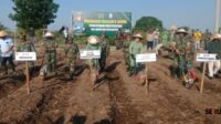 Danrem 083 Baladhika Jaya Tanam Edamame di Situbondo