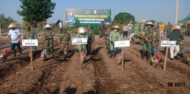 Danrem 083 Baladhika Jaya Tanam Edamame di Situbondo
