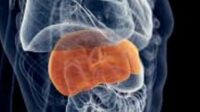 Data Penderita Hepatitis di Kota Batu Naik Turun, Dinkes Batu Ajak Masyarakat Mengenal Resiko Penularannya