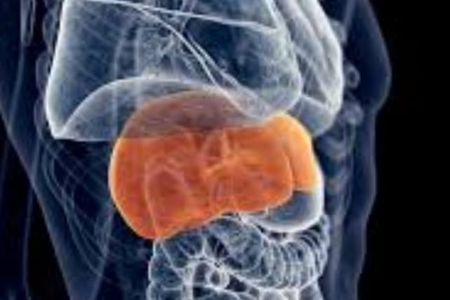Data Penderita Hepatitis di Kota Batu Naik Turun, Dinkes Batu Ajak Masyarakat Mengenal Resiko Penularannya