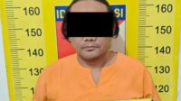 Pria Asal Dampit Tanam Ganja di Belakang Kandang Ayam Diringkus Polisi