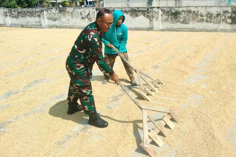 Babinsa Kedungkandang Dampingi Poktan Tlogowaru dalam Pengeringan dan Penggilingan Padi