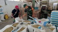 Babinsa Tunjungsekar Pendampingan Petani Padi dan Penggilingan Padi UD Sumber Pangan
