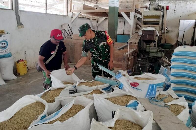 Babinsa Tunjungsekar Pendampingan Petani Padi dan Penggilingan Padi UD Sumber Pangan