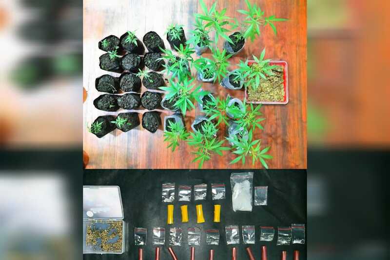Penanam Ganja dan Pengedar Sabu di Kabupaten Malang Kembali Diringkus Polisi