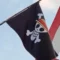 Bendera One Piece: Simbol Perlawanan Gen Z dan Kuasa dalam Kacamata Foucault