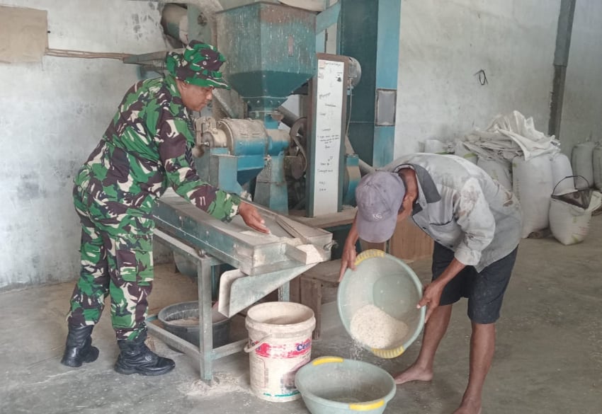 Babinsa Sawojajar Bantu Petani Keringkan dan Giling Padi Pascapanen