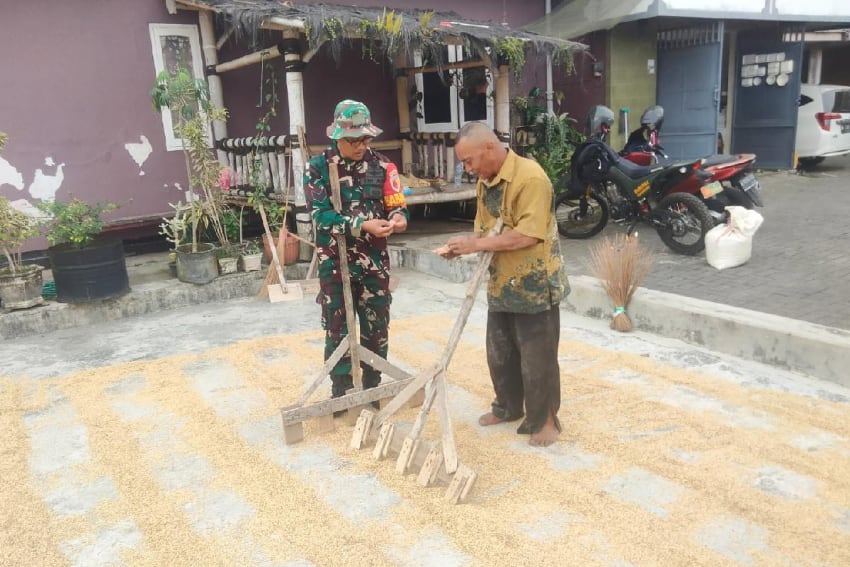 Babinsa Kedungkandang Bantu Warga Tlogowaru Pengeringan Padi