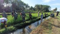 Kodim 0833 Bersama Poktan Suka Maju Pemeliharaan Lahan Demplot di Wonokoyo