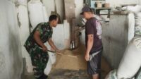 Babinsa Jodipan Monitoring Penggilingan Padi Milik Warga
