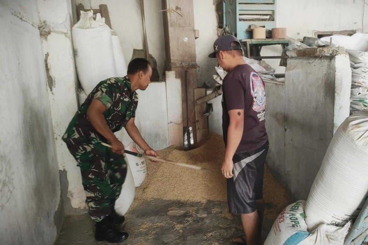 Babinsa Jodipan Monitoring Penggilingan Padi Milik Warga