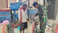 Babinsa Lowokwaru Monitoring Pascapanen, Jaga Kualitas Gabah Kering Petani Tasikmadu