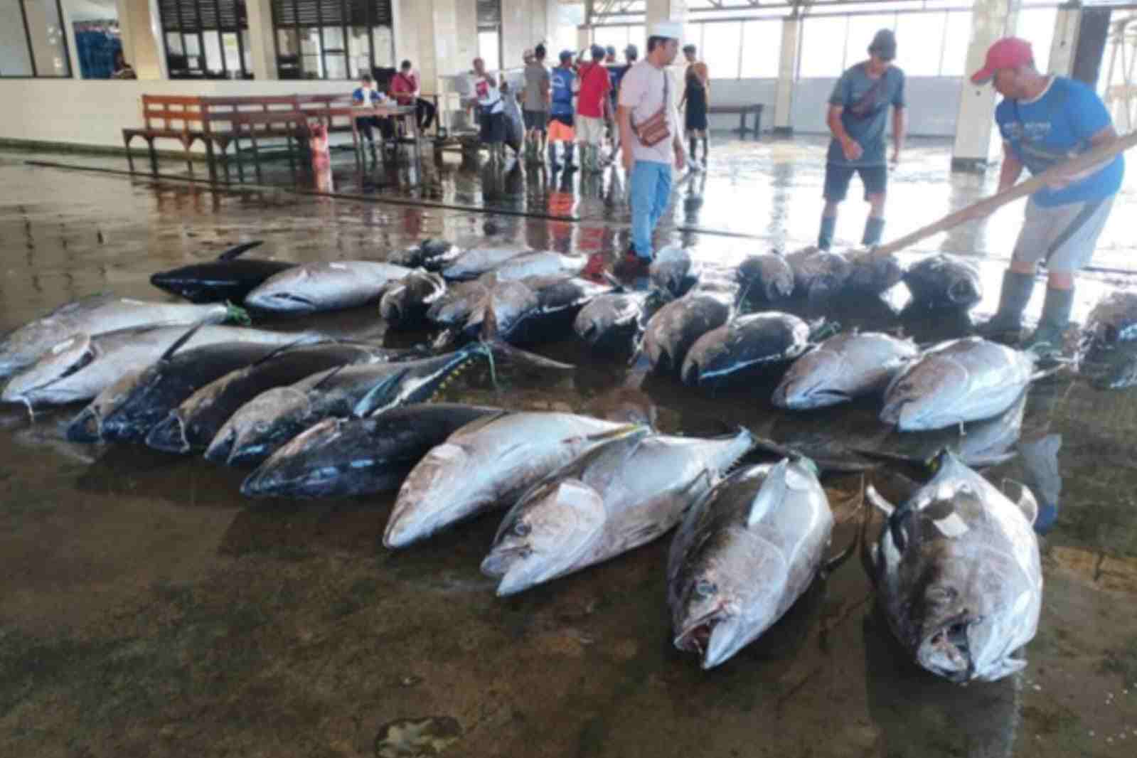 Di Tengah Tren Penurunan Tangkapan Ikan, Pemkab Malang Optimis Hasil Laut Tahun Ini Tutup Target