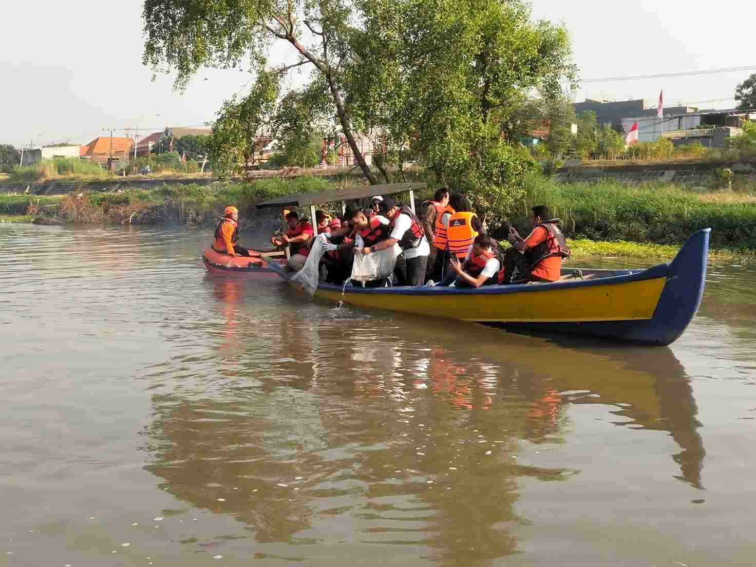 10 Ribu Ikan Pemangsa Eceng Gondok Dilepas, untuk Kurangi Tanaman Liar di Sungai 10 Ribu Ikan Pemangsa Eceng Gondok Dilepas, untuk Kurangi Tanaman Liar di Sungai