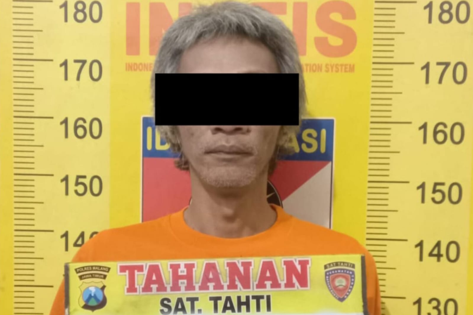 Penanam Ganja dan Pengedar Sabu di Kabupaten Malang Kembali Diringkus Polisi