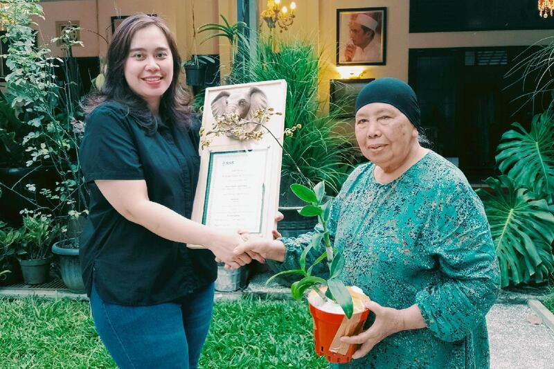 Anggrek Gajah Baru, Menambah Keanekaragaman Anggrek Hibrida Persilangan di Indonesia