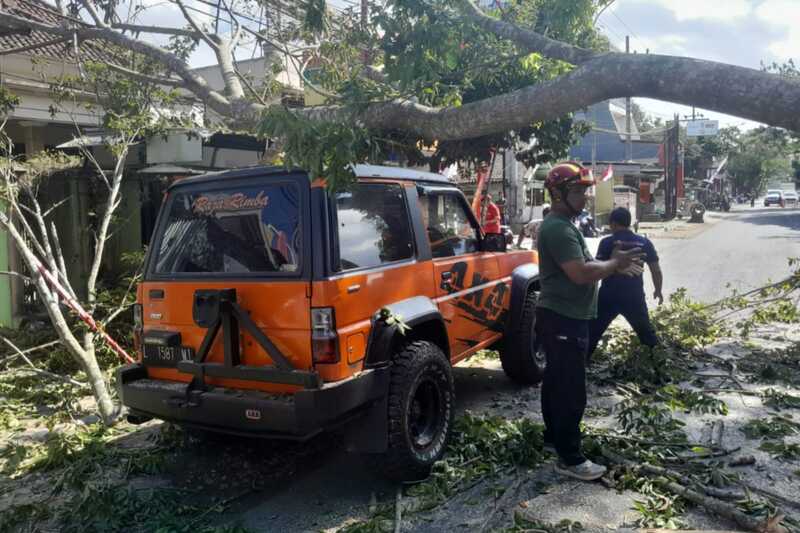 Pohon Tumbang di Kepanjen Timpa Satu Unit Mobil dan Sebabkan Macet