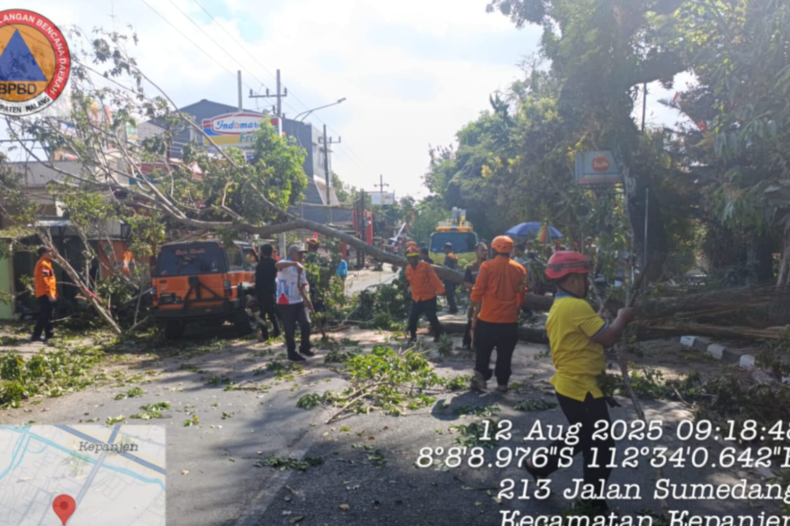 Pohon Tumbang di Kepanjen Timpa Satu Unit Mobil dan Sebabkan Macet