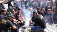 Pagelaran Bantengan Nuswantoro ke-17 Berlangsung Seru!
