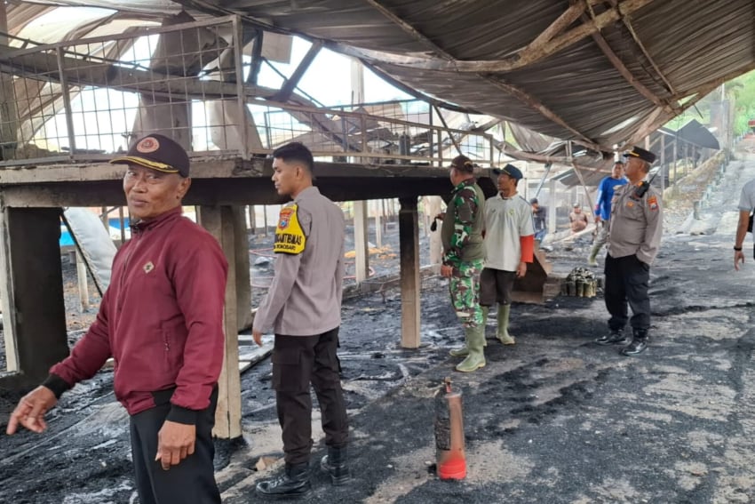 Tiga Ribu Ekor Ayam Pedaging Hangus Terbakar Beserta Kandangnya di Wonosari