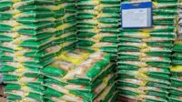 Stok Beras SPHP 68.000 Ton, Bulog Malang Ungkap Penyebab Harga Beras Masih Tinggi