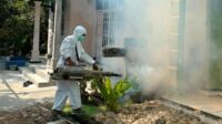 Kasus DBD Tembus 549 Kasus, Dinkes Kota Malang Tegaskan Fogging Tidak Efektif
