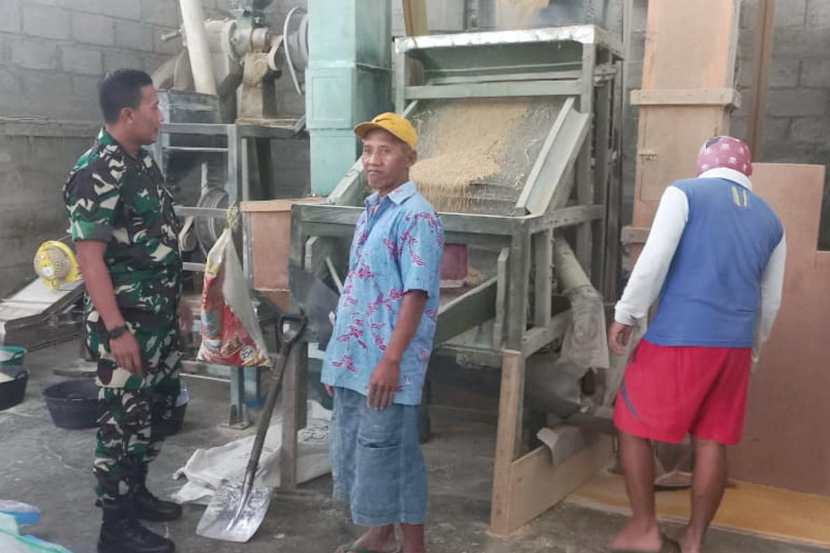 Babinsa Blimbing Dampingi Penggilingan Gabah, Jaga Kualitas Beras