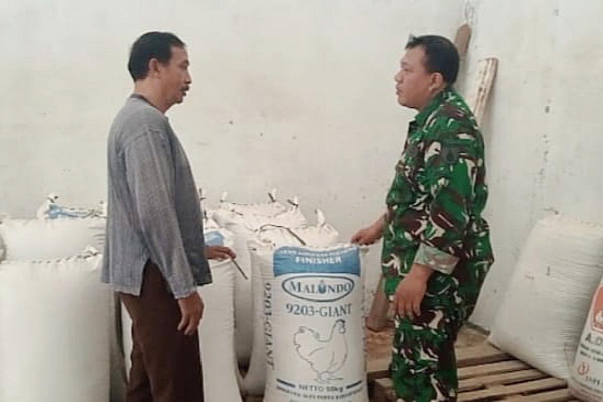 Babinsa Kedungkandang Monitoring Aktivitas Pertanian dan Penggilingan Padi Arjowinangun