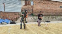 Babinsa Lowokwaru Bantu Petani Tasikmadu Keringkan Padi Jaga Kualitas GKG