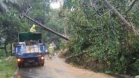 BMKG Juanda Peringatkan Potensi Cuaca Ekstrem di Jatim 10-17 September 2025