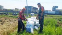 Babinsa Sukun Dampingi Petani Bakalankrajan Panen Padi