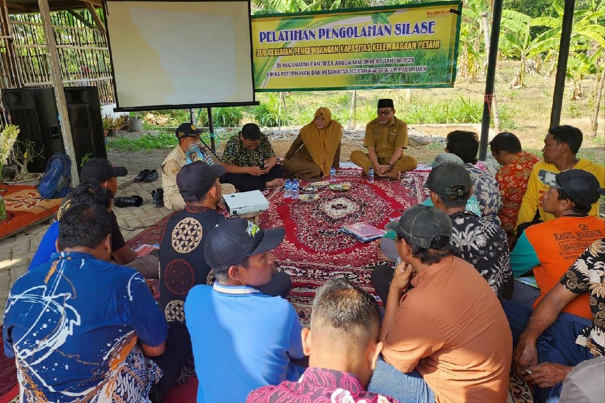 Pemkab Pasuruan Gelar Bimtek Silase, Manfaatkan DBHCHT Tingkatkan Kapasitas Peternak Pemkab Pasuruan Gelar Bimtek Silase, Manfaatkan DBHCHT Tingkatkan Kapasitas Peternak