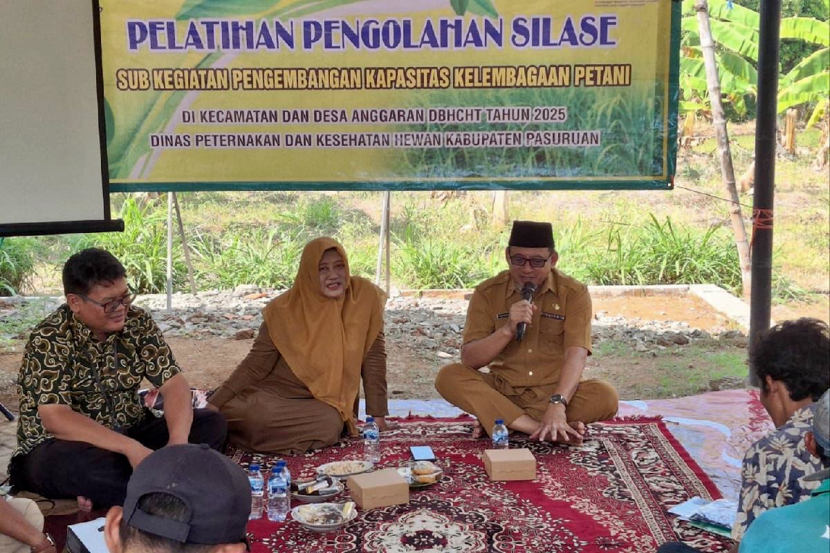 Pemkab Pasuruan Gelar Bimtek Silase, Manfaatkan DBHCHT Tingkatkan Kapasitas Peternak 1 Asisten 2 Kab. Pasuruan, Drs. Syaifudin Ahmad MSi memberikan sambutan. (ist)