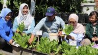 Petani Muda Berjaya, Cara Pemkot Batu Dorong Potensi Pertanian Milenial