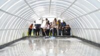 Produksi Garam Tunnel Pantai Modangan Bakal Dikembangkan Menjadi Garam Industri
