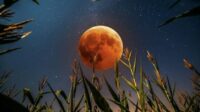 Fenomena Corn Moon Berbalut Blood Moon Hiasi Langit Indonesia 7-8 September 2025