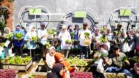 Wali Kota Batu Ajak Petani dan Warga Lansia Panen Sayur Bersama