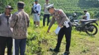 Proses olah TKP kecelakaan lalu lintas di Jalan Lokal Desa Wiyurejo, Kecamatan Pujon, Kabupaten Malang Kurangnya Penerangan, Ayah dan Anak di Pujon Tewas Setelah Terjatuh ke Jurang Saat Berkendara