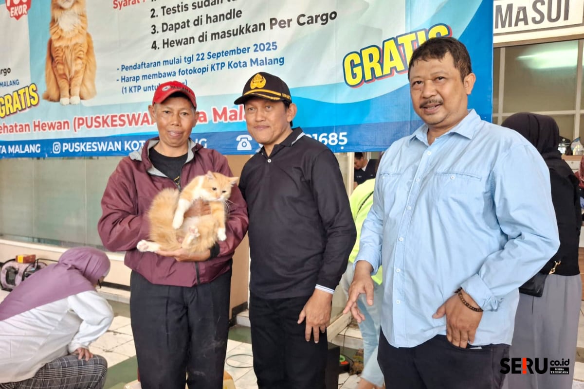 Hari Rabies Sedunia, Ratusan Kucing di Kota Malang Jalani Vaksinasi dan Sterilisasi Gratis Hari Rabies Sedunia, Ratusan Kucing di Kota Malang Jalani Vaksinasi dan Sterilisasi Gratis