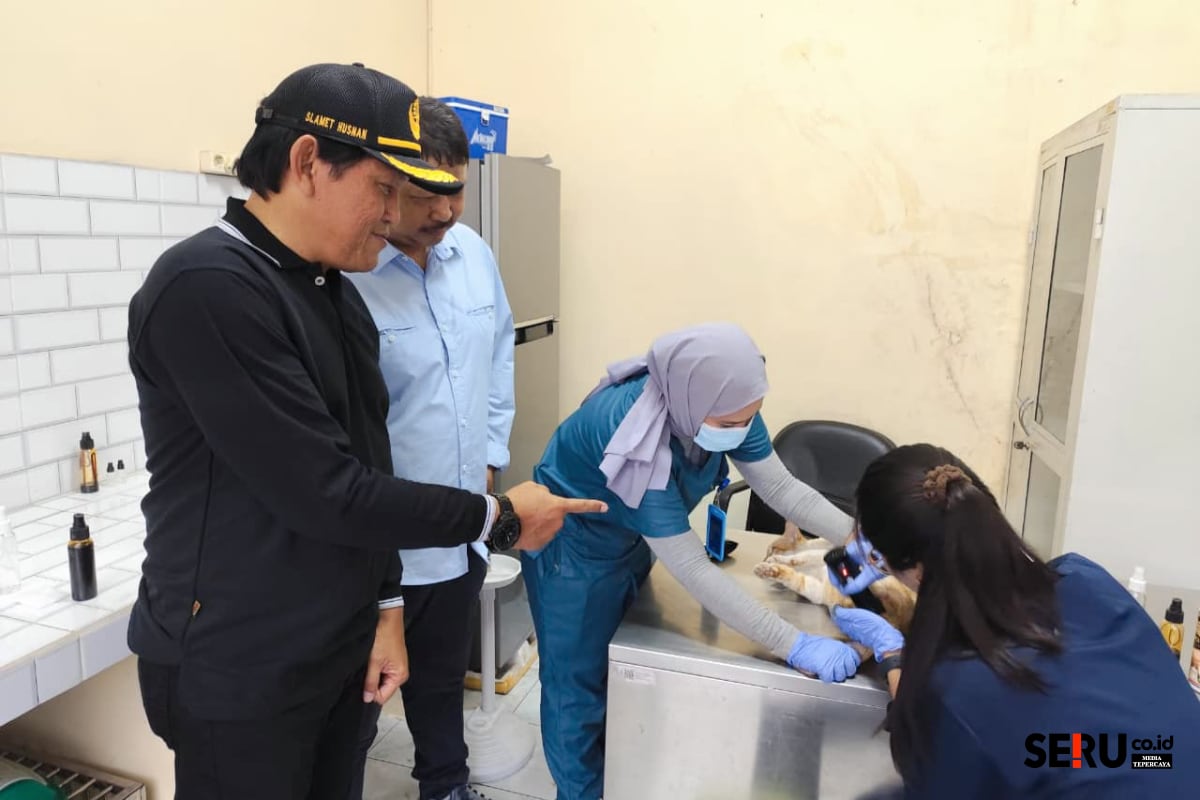 Hari Rabies Sedunia, Ratusan Kucing di Kota Malang Jalani Vaksinasi dan Sterilisasi Gratis 1 Kepala Dispangtan Kota Malang mengamati proses sterilisasi dan vaksinasi kucing. (Seru.co.id/bas)