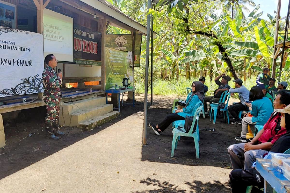 TMMD 126 Kodim 0818 sosialisasi pencegahan penyakit hewan menular. (ist) TMMD 126 Kodim 0818 Sosialisasi Pencegahan Penyakit Hewan Menular
