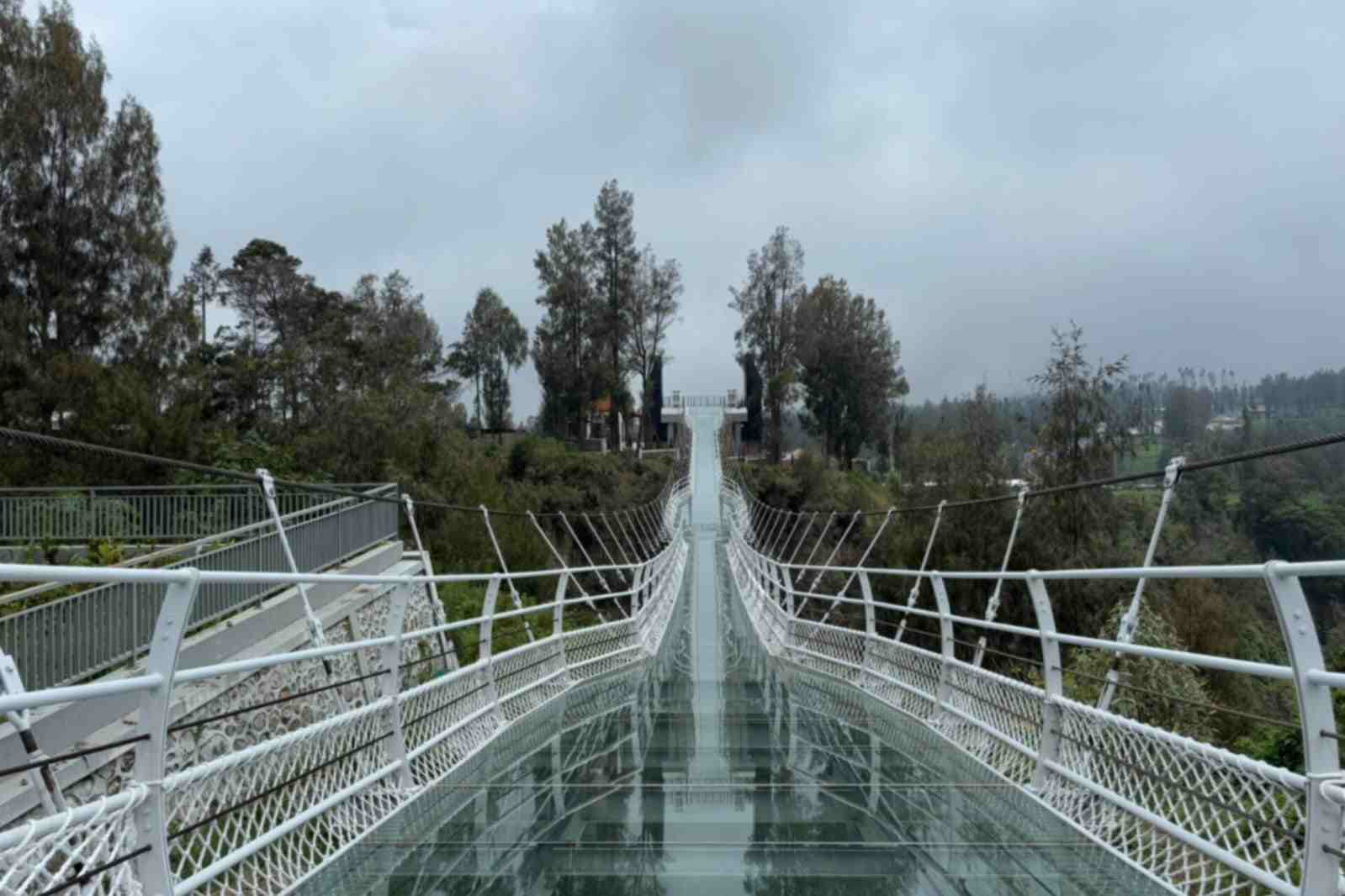 Kawasan TNBTS Miliki Jembatan Kaca, Semakin Memukau